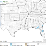 Tropical Spiderwort Locations in Southeast US